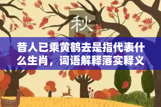 昔人已乘黄鹤去是指代表什么生肖，词语解释落实释义