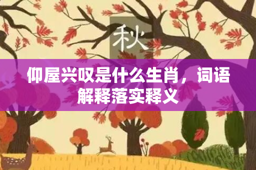 仰屋兴叹是什么生肖，词语解释落实释义