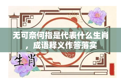 无可奈何指是代表什么生肖，成语释义作答落实