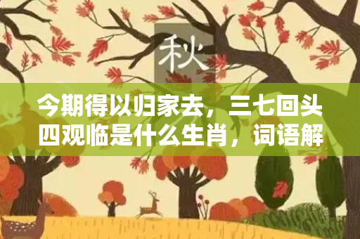 今期得以归家去，三七回头四观临是什么生肖，词语解释落实释义