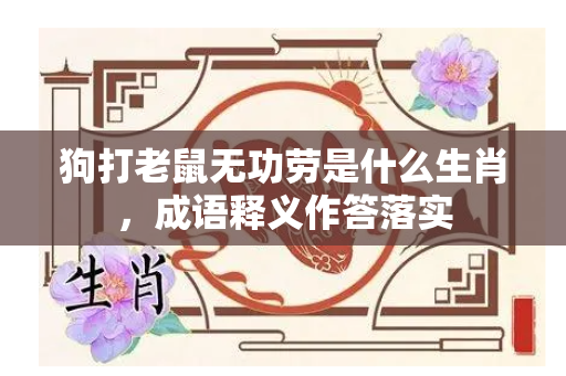 狗打老鼠无功劳是什么生肖，成语释义作答落实