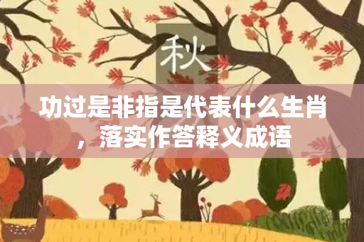 功过是非指是代表什么生肖，落实作答释义成语